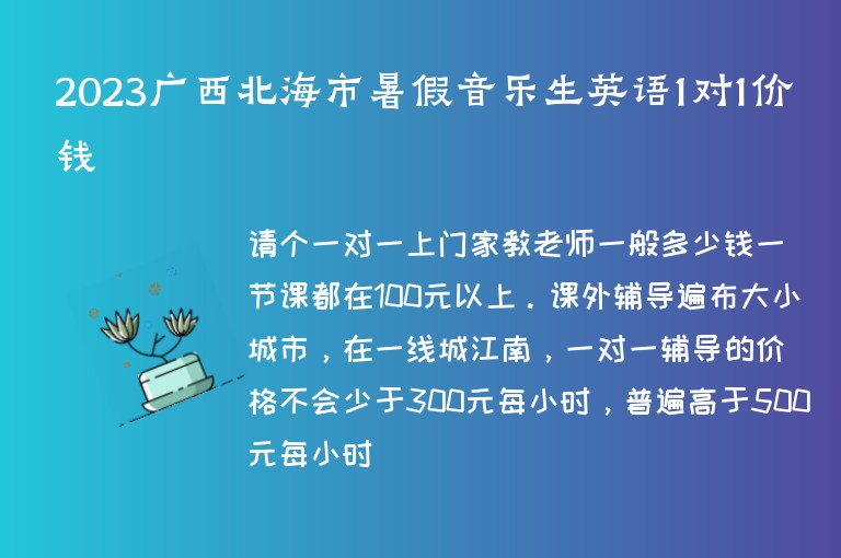 2023廣西北海市暑假音樂生英語1對1價錢