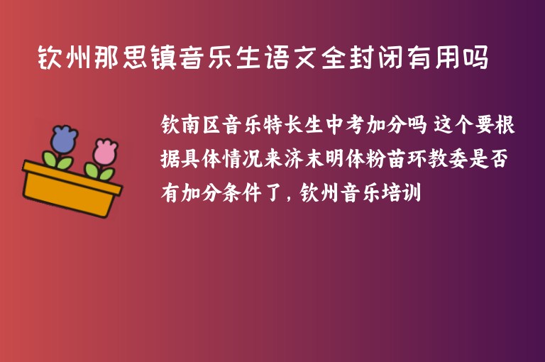 欽州那思鎮(zhèn)音樂生語文全封閉有用嗎