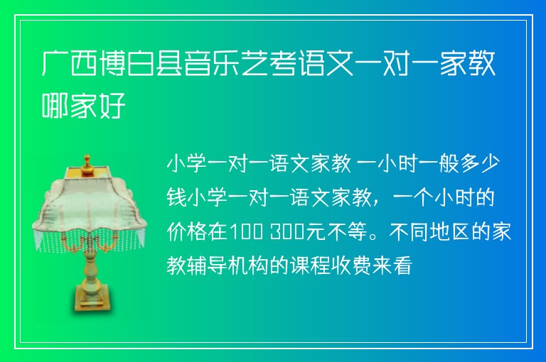 廣西博白縣音樂藝考語文一對一家教哪家好