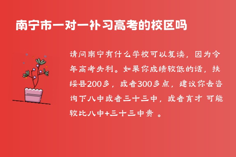 南寧市一對一補習高考的校區(qū)嗎