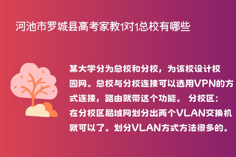 河池市羅城縣高考家教1對1總校有哪些