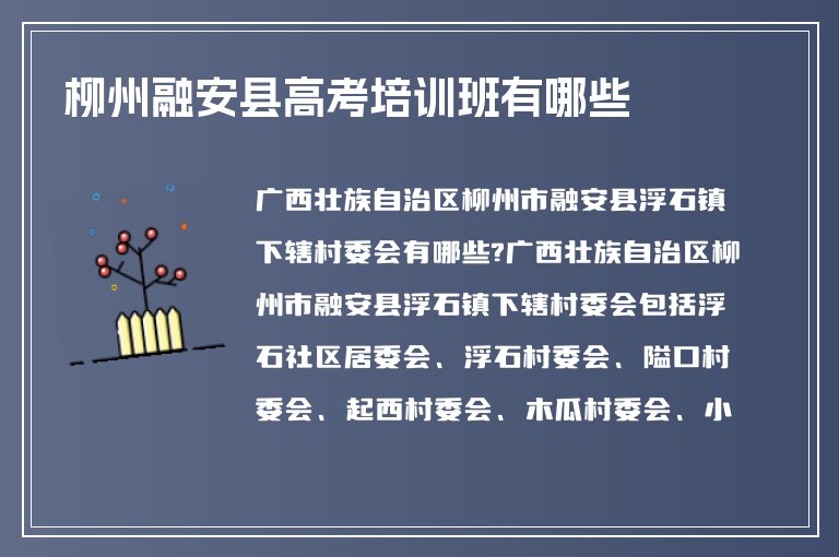 柳州融安縣高考培訓(xùn)班有哪些