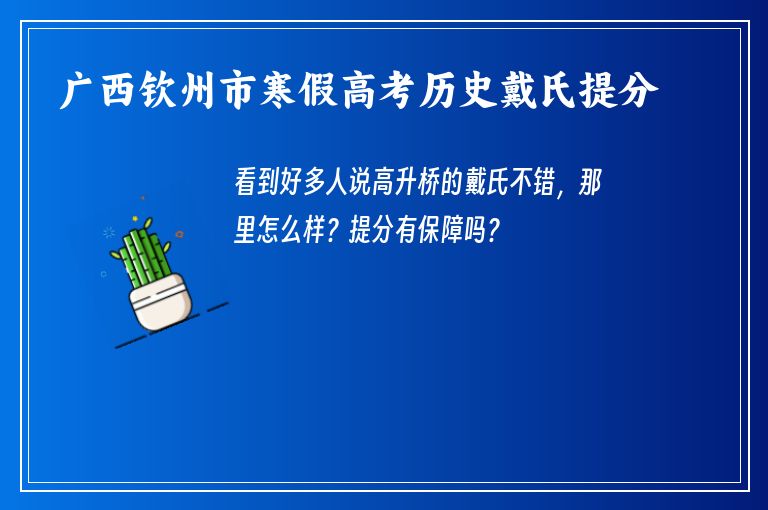 廣西欽州市寒假高考歷史戴氏提分