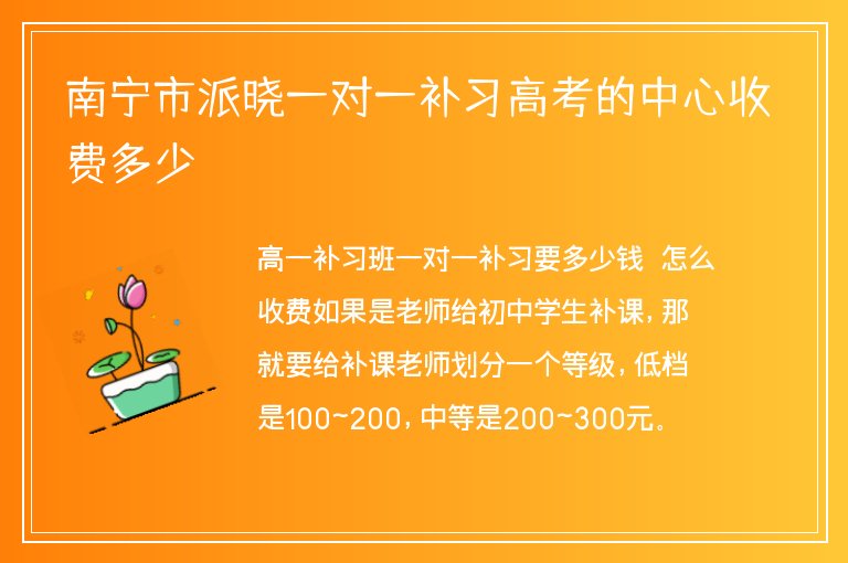 南寧市派曉一對一補(bǔ)習(xí)高考的中心收費(fèi)多少