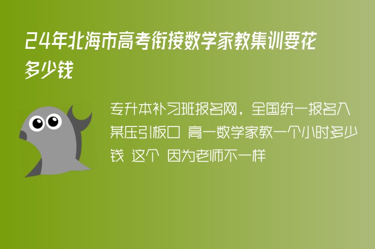 24年北海市高考銜接數(shù)學(xué)家教集訓(xùn)要花多少錢