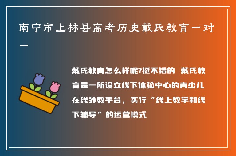 南寧市上林縣高考?xì)v史戴氏教育一對(duì)一