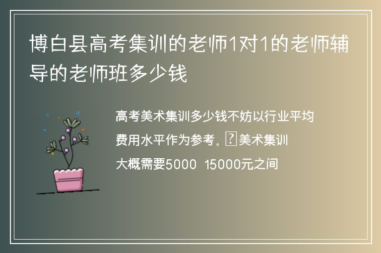 博白縣高考集訓(xùn)的老師1對1的老師輔導(dǎo)的老師班多少錢