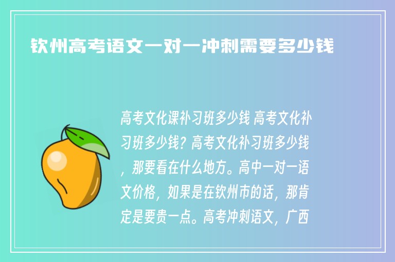 欽州高考語文一對一沖刺需要多少錢