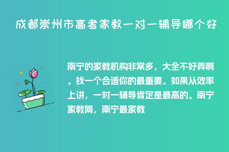 成都崇州市高考家教一對(duì)一輔導(dǎo)哪個(gè)好