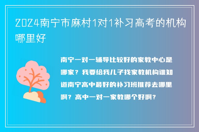 2024南寧市麻村1對(duì)1補(bǔ)習(xí)高考的機(jī)構(gòu)哪里好