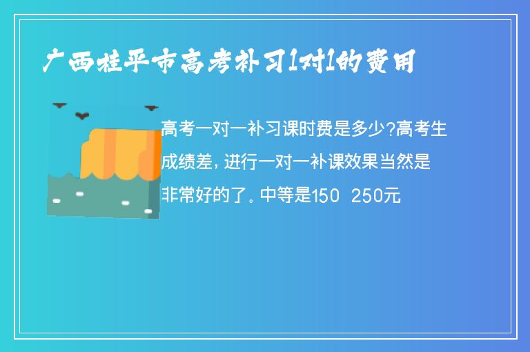 廣西桂平市高考補(bǔ)習(xí)1對1的費用