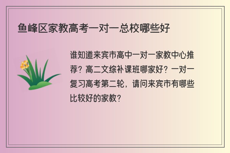 魚峰區(qū)家教高考一對一總校哪些好