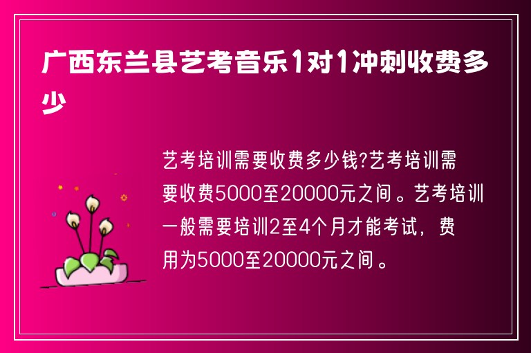 廣西東蘭縣藝考音樂1對1沖刺收費多少