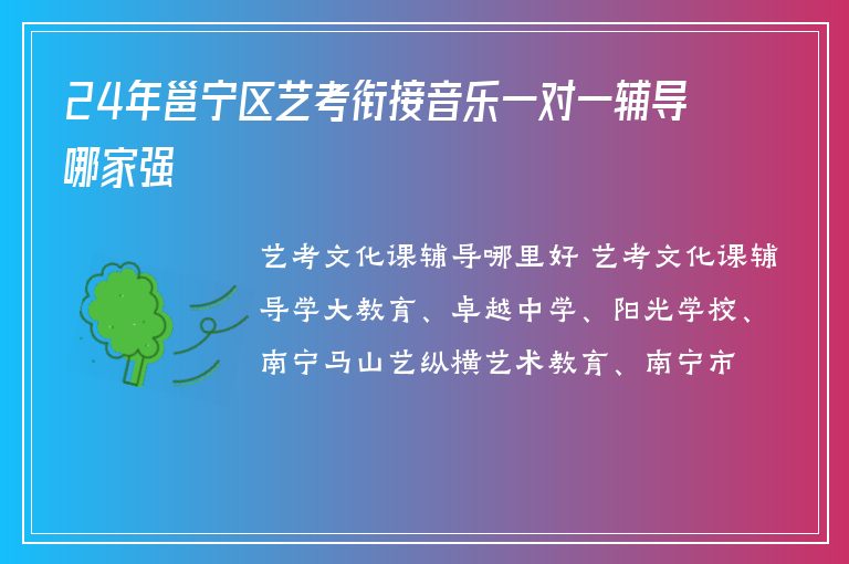 24年邕寧區(qū)藝考銜接音樂一對一輔導(dǎo)哪家強(qiáng)