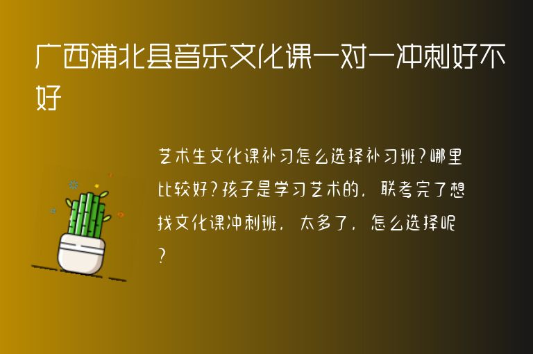 廣西浦北縣音樂文化課一對一沖刺好不好