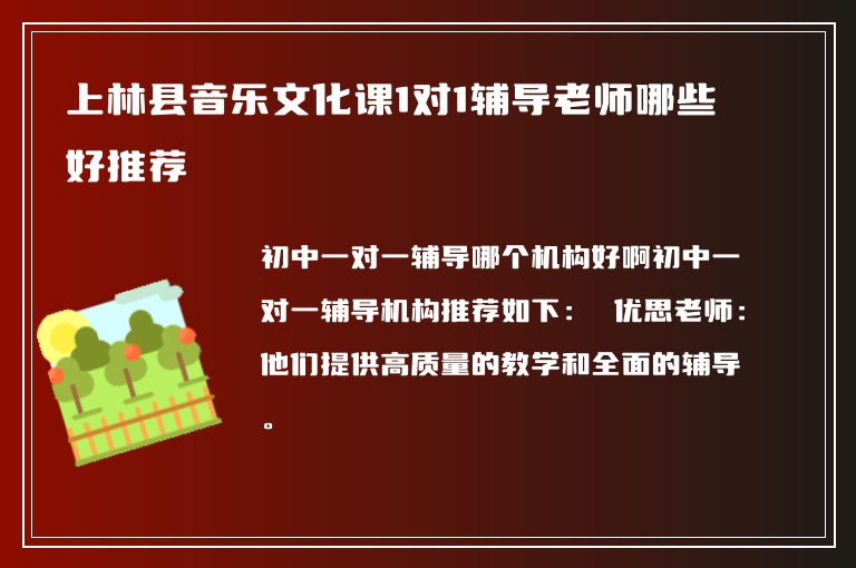 上林縣音樂文化課1對1輔導老師哪些好推薦