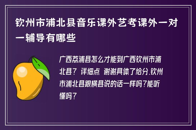 欽州市浦北縣音樂課外藝考課外一對一輔導(dǎo)有哪些