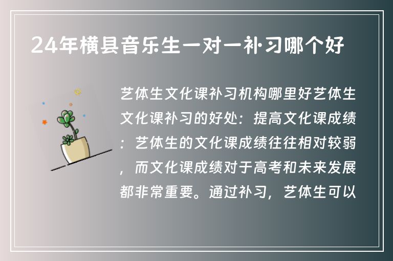 24年橫縣音樂(lè)生一對(duì)一補(bǔ)習(xí)哪個(gè)好