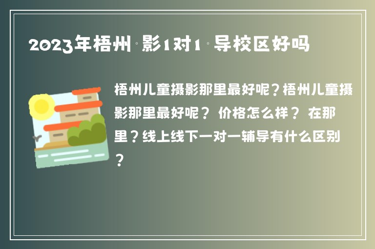 2023年梧州攝影1對1輔導(dǎo)校區(qū)好嗎