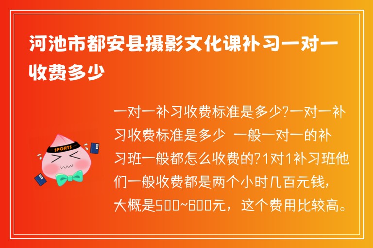 河池市都安縣攝影文化課補(bǔ)習(xí)一對(duì)一收費(fèi)多少