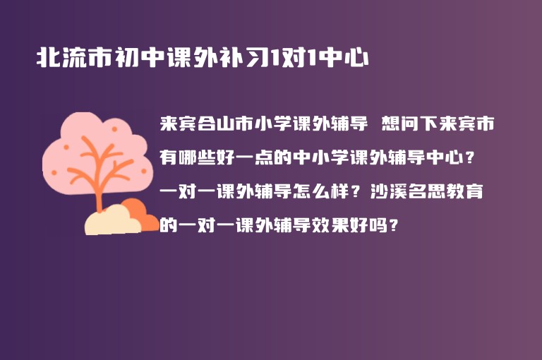 北流市初中課外補習1對1中心