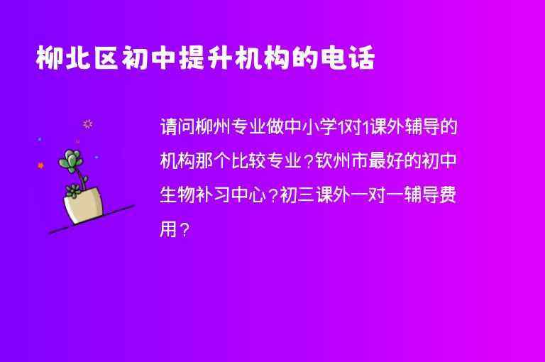 柳北區(qū)初中提升機構(gòu)的電話