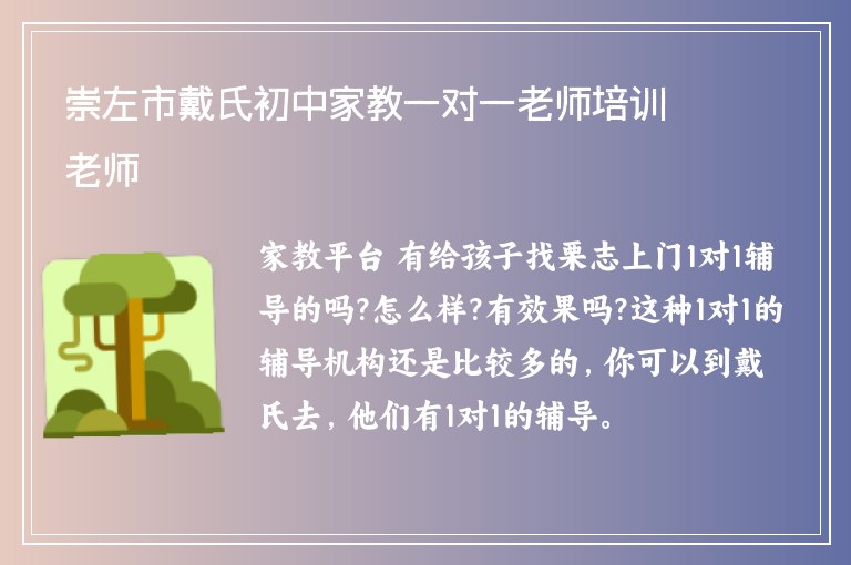 崇左市戴氏初中家教一對一老師培訓(xùn)老師