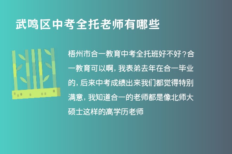 武鳴區(qū)中考全托老師有哪些