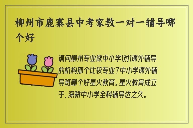 柳州市鹿寨縣中考家教一對(duì)一輔導(dǎo)哪個(gè)好