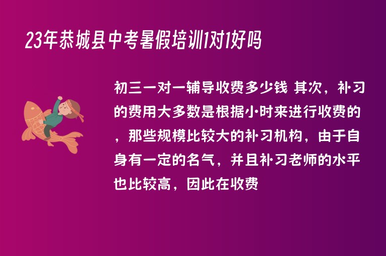 23年恭城縣中考暑假培訓(xùn)1對(duì)1好嗎