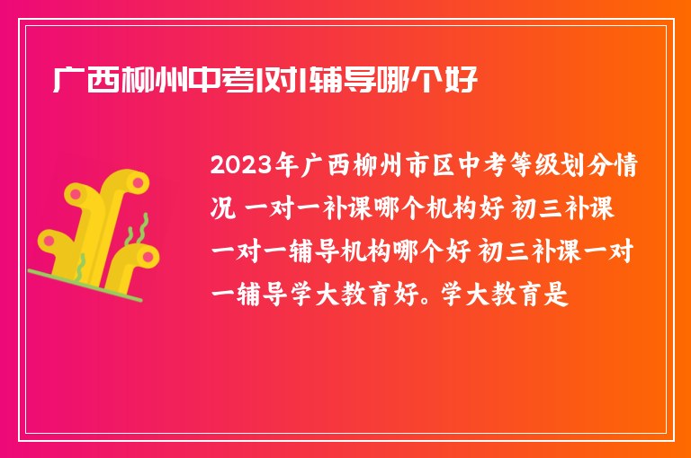 廣西柳州中考1對1輔導哪個好