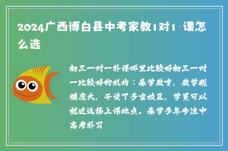 2024廣西博白縣中考家教1對(duì)1補(bǔ)課怎么選