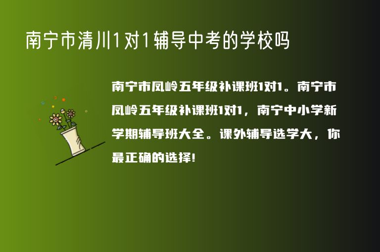 南寧市清川1對1輔導(dǎo)中考的學(xué)校嗎