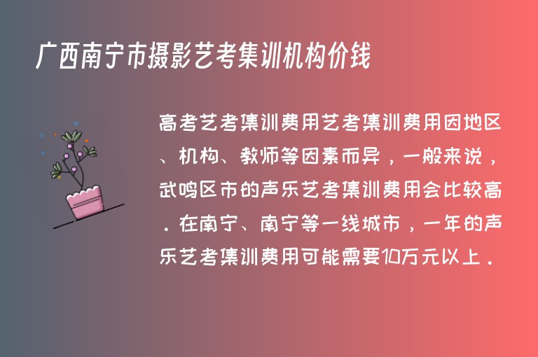 廣西南寧市攝影藝考集訓機構(gòu)價錢