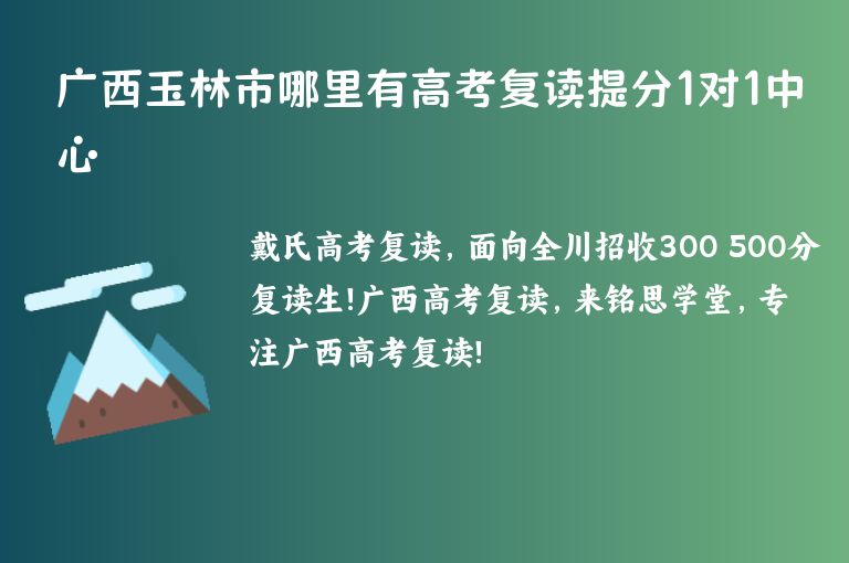 廣西玉林市哪里有高考復(fù)讀提分1對1中心