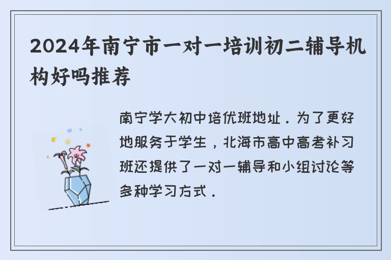 2024年南寧市一對一培訓(xùn)初二輔導(dǎo)機(jī)構(gòu)好嗎推薦