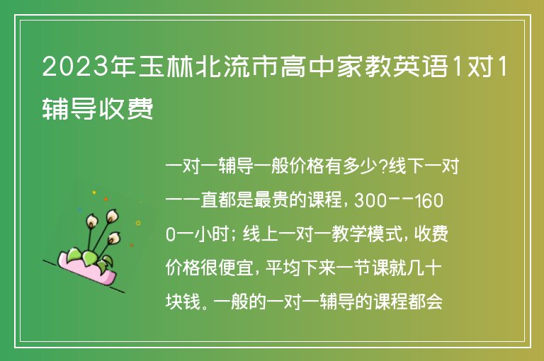 2023年玉林北流市高中家教英語1對1輔導(dǎo)收費