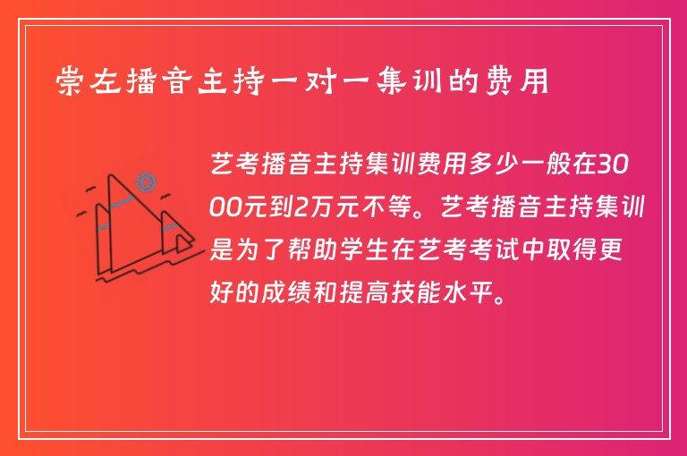 崇左播音主持一對一集訓的費用