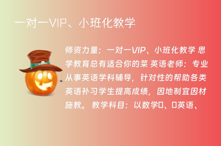 一對一VIP、小班化教學