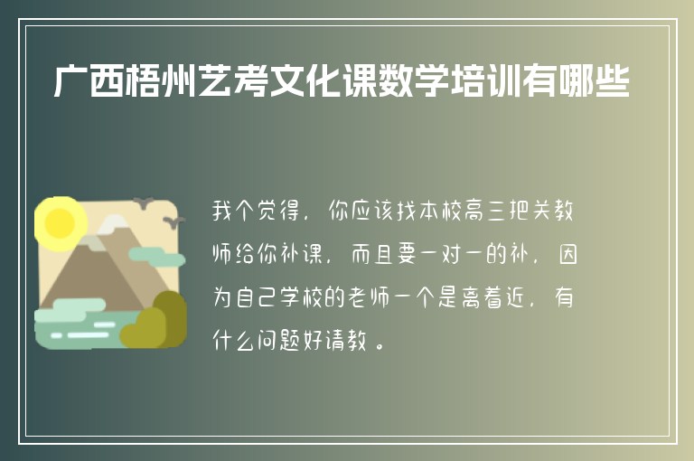 廣西梧州藝考文化課數(shù)學(xué)培訓(xùn)有哪些