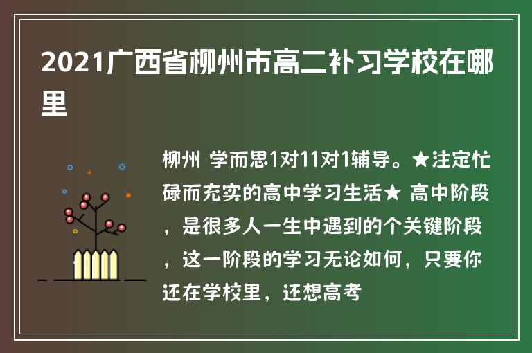 2021廣西省柳州市高二補(bǔ)習(xí)學(xué)校在哪里