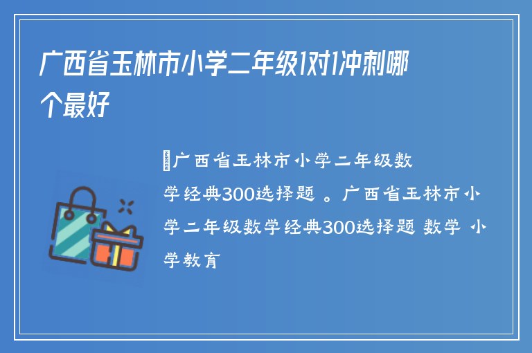 廣西省玉林市小學(xué)二年級1對1沖刺哪個最好