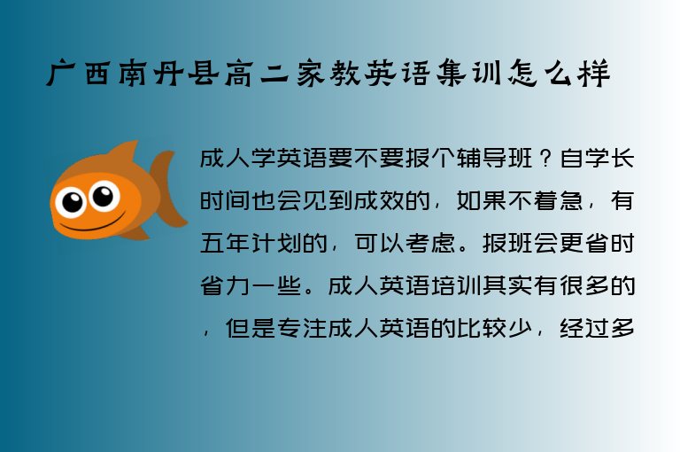 廣西南丹縣高二家教英語集訓(xùn)怎么樣