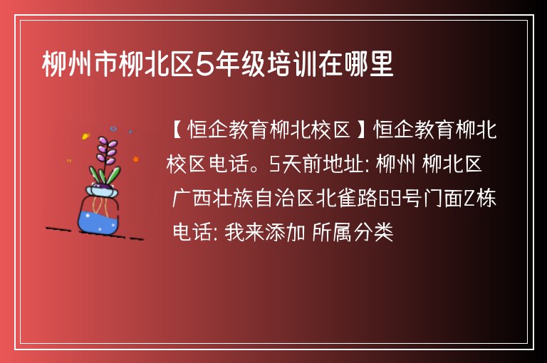 柳州市柳北區(qū)5年級(jí)培訓(xùn)在哪里