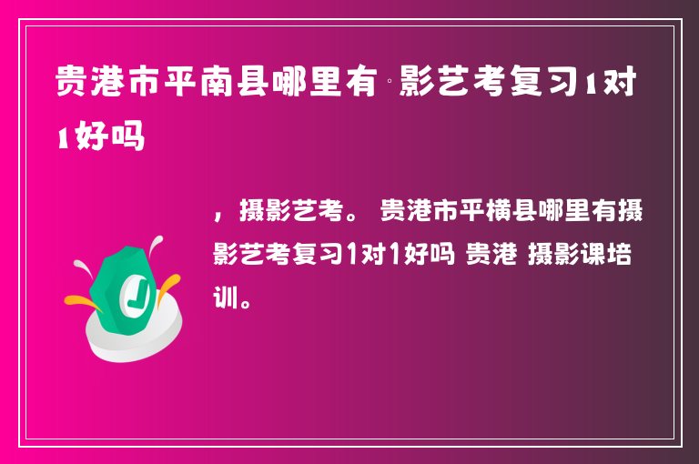 貴港市平南縣哪里有攝影藝考復習1對1好嗎