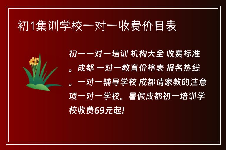 初1集訓(xùn)學(xué)校一對(duì)一收費(fèi)價(jià)目表