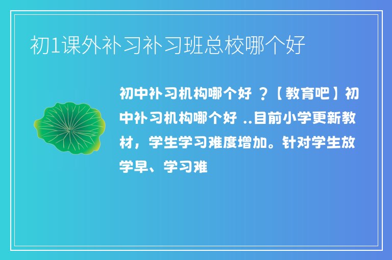 初1課外補習(xí)補習(xí)班總校哪個好