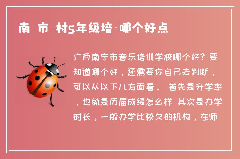 南寧市賴村5年級(jí)培訓(xùn)哪個(gè)好點(diǎn)