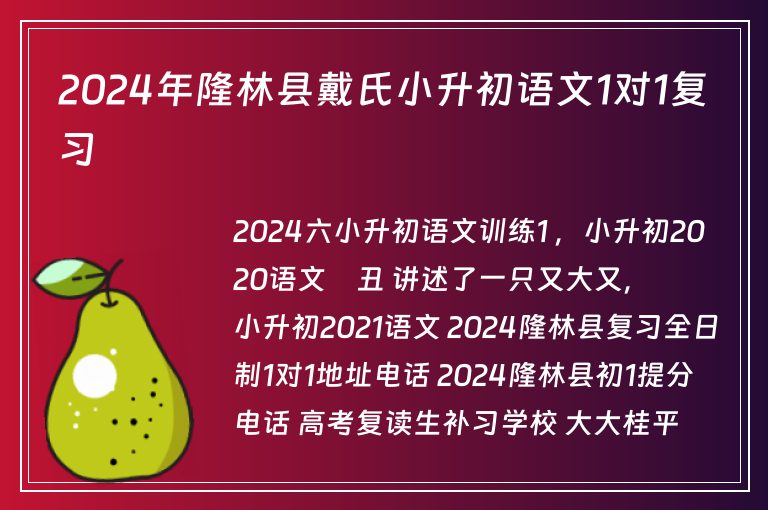 2024年隆林縣戴氏小升初語(yǔ)文1對(duì)1復(fù)習(xí)