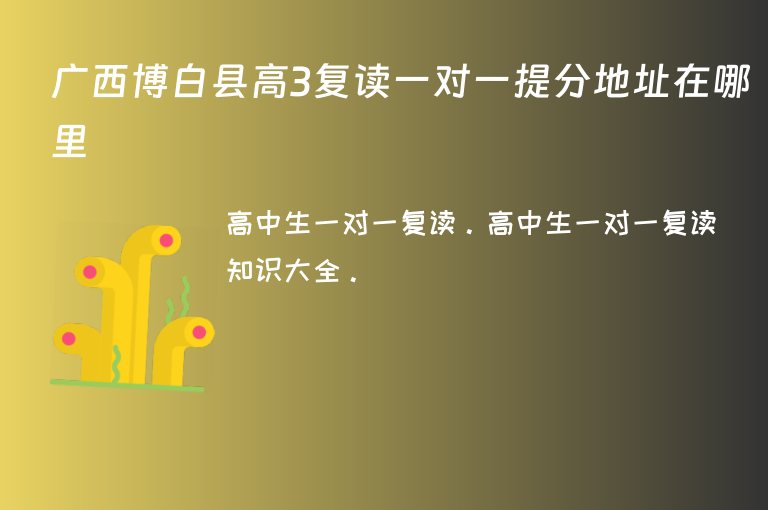 廣西博白縣高3復(fù)讀一對(duì)一提分地址在哪里